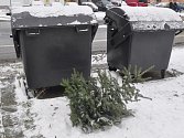 U kontejnerů už se objevily první vánoční stromky. Svátky jsou pryč.