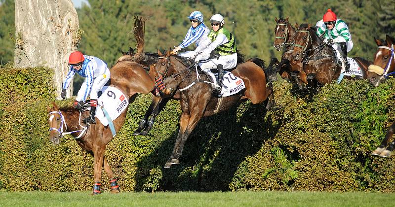 131. Velká pardubická, 10. října 2021