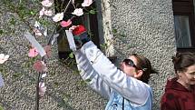 Lidé mohli v sobotu přijít do areálu Ornitologické stanice v Přerově a podle japonské tradice zavěsit na symbolickou sakuru, kterou ve skutečnosti představovala nazdobená větev osiky, svá přání