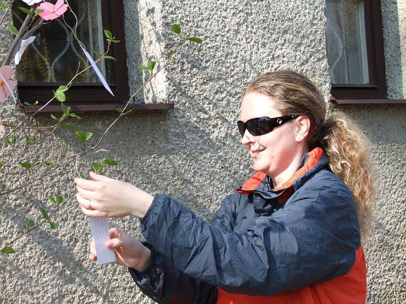 Lidé mohli v sobotu přijít do areálu Ornitologické stanice v Přerově a podle japonské tradice zavěsit na symbolickou sakuru, kterou ve skutečnosti představovala nazdobená větev osiky, svá přání