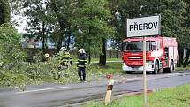 Spadený strom v Přerově směrem na Troubky