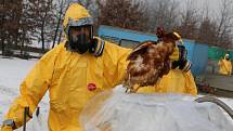 Na likvidaci chovu drůbeže v Lověšicích, kde vypukla ptačí chřipka, se v sobotu podíleli pracovníci Krajské veterinární správy v Olomouci spolu s hasiči.