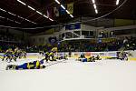 HC Zubr Přerov - HC Stadion Litoměřice