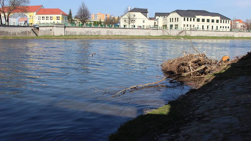Vody je v řece Bečvě v Přerově méně než v uplynulých letech, potvrzují vodohospodáři. 31.3.2017