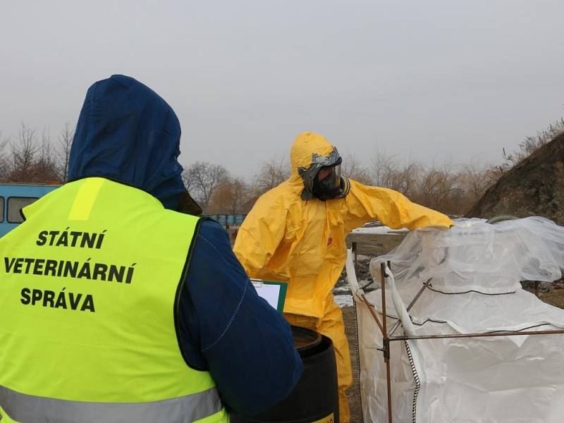 S likvidací drůbeže v Lověšicích u Přerova, kde se v chovu vyskytla ptačí chřipka, pomáhaly jednotky hasičů z Přerova, Olomouce a Prostějova.