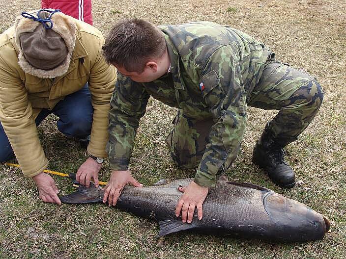 Petr Baraňák a jeho úlovek - 120 cm dlouhý tolstolobik 