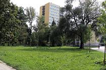 U budovy pobočky Městské knihovny v Přerově - směrem do ulice Sokolská - se začne v příštím roce budovat dešťová zahrada.