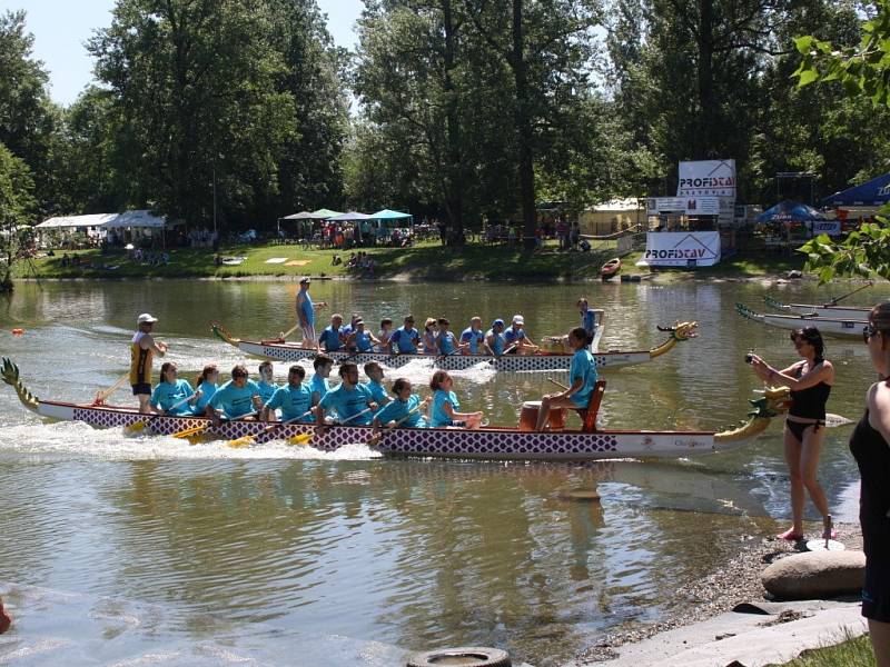 Přerovský festival amatérských posádek dračí lodí