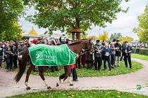 Ryzák Talent, šampion z roku 2021, přivedl s trenérkou Hanou Kabelkovou koně na start Velké pardubické se Slavia pojišťovnou 2025