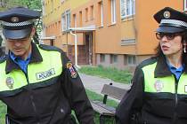 Městská policie Přerov. Ilustrační foto