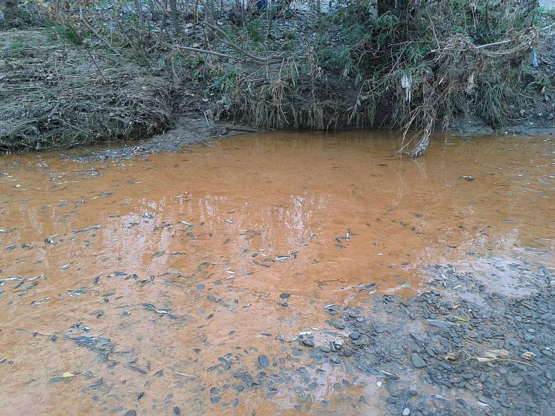 Ke znečištění řeky Bečvy došlo v úterý 27. října také v Přerově - barva vody byla oranžovo-rezavá.