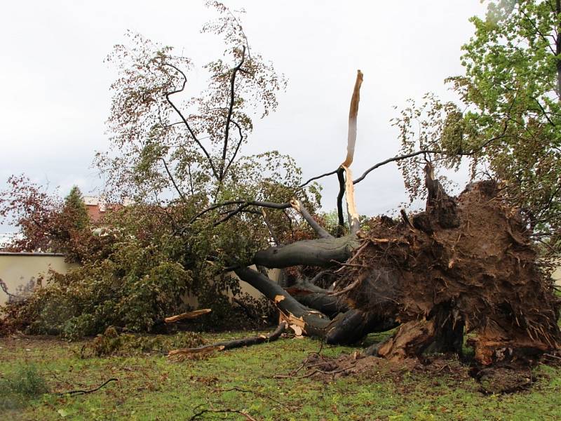 Řádění vichřice v zámecké zahradě v Lipníku nad Bečvou