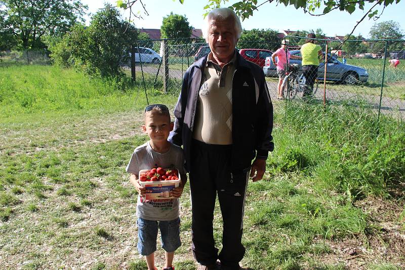 Samosběr jahod v Bochoři