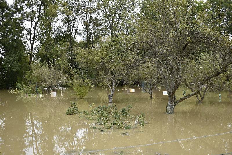 Rozvodněná Morava v Kojetíně, zaplavila třeba i fotbalové hřiště nebo loděnici. 15.10. 2020