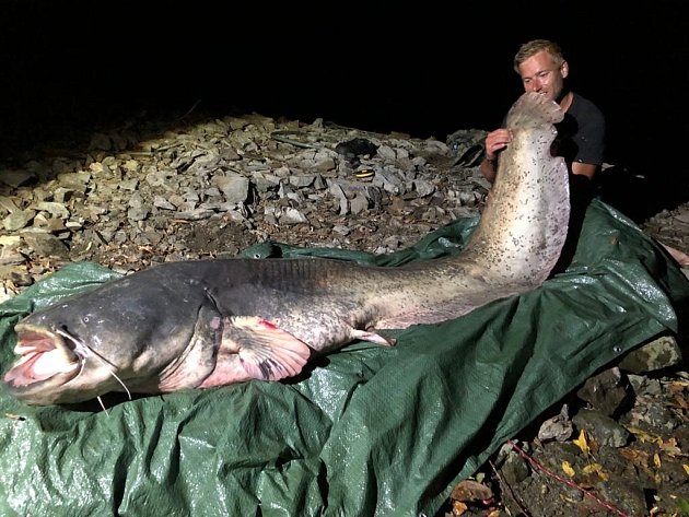 Sumce 234 cm a 80 kg chytil Rostislav Třasoň z Tovačova.