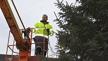 Na Masarykově náměstí už je připravené pódium a rozestavěny jsou i dřevěné prodejní stánky. Vánoční strom se slavnostně rozzáří v neděli 27. listopadu.