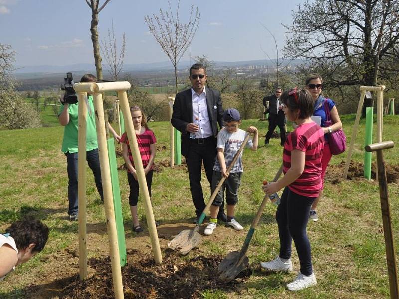 Obnova slavných Knejzlíkových sadů v Předmostí ve spolupráci s Nadací Malý Noe.