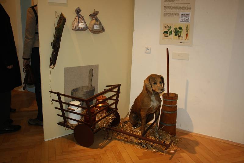 Vernisáž výstavy Šejdíři a šizuňkové v Muzeu Komenského v Přerově