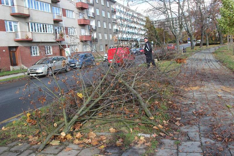 Stavba protipovodňové zídky na nábřeží Edvarda Beneše se rozběhla naplno – ustoupit jí musely první stromy, které byly v aleji vykáceny tento týden.