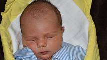 David Holý, Přerov, narozen dne 28. února 2019 v Přerově, míra 51cm, váha 3706 g