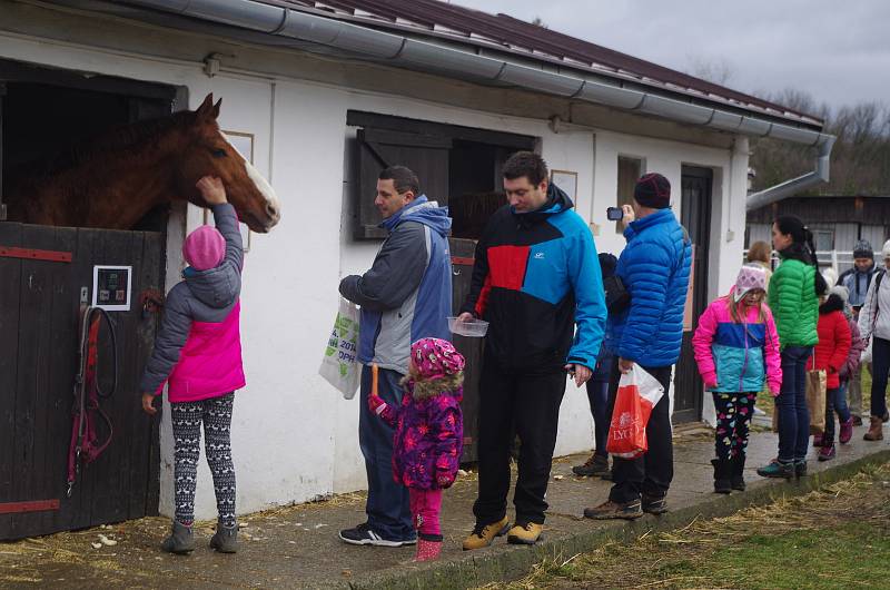 Vánoční krmení koní v areálu Střední školy zemědělské v Přerově