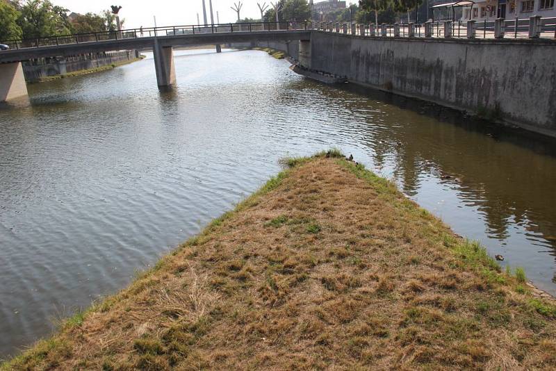 Vody ve Strhanci je také málo, kachnám to ale zatím stačí.