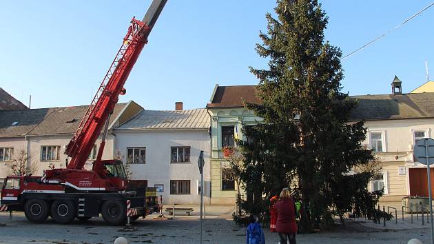 Vánoční strom přivezli na Masarykovo náměstí v Přerově pracovníci technických služeb. Letos putuje do centra města z Jižní čtvrti III.
