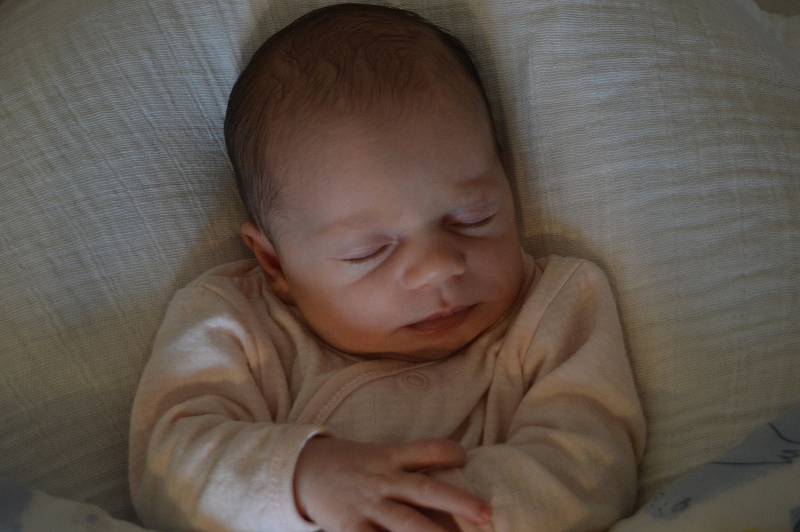 Karolína Janovská, Dřevohostice, narozena  4. června 2020 v Přerově, míra 47 cm, váha 2900 g