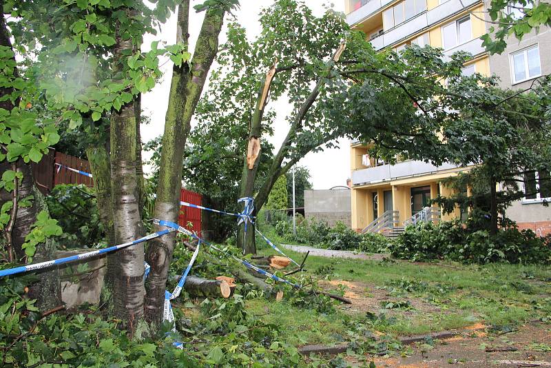 V důsledku průtrže mračen, která se v pátek odpoledne prohnala krajem, popadaly větve stromů na zaparkovaná auta v ulici Budovatelů v Přerově. Nikomu se naštěstí nic nestalo.