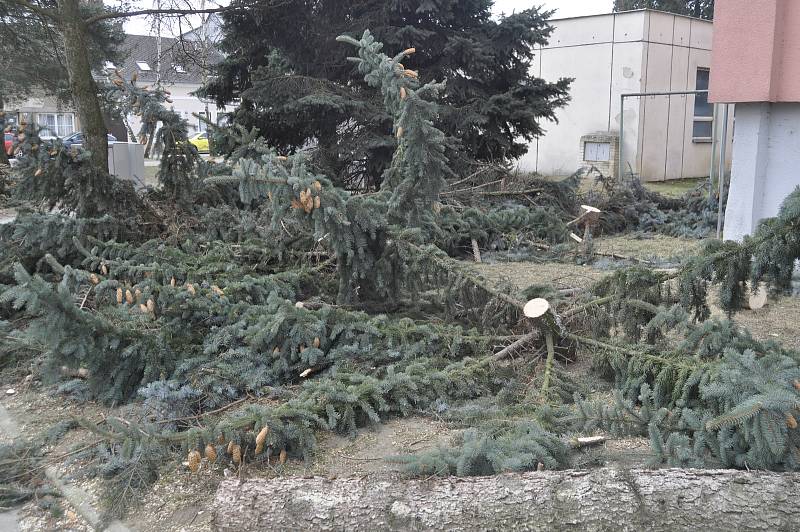 Následkem silného větru popadaly o víkendu i smrky před panelovým domem v ulici Osmek v Přerově.