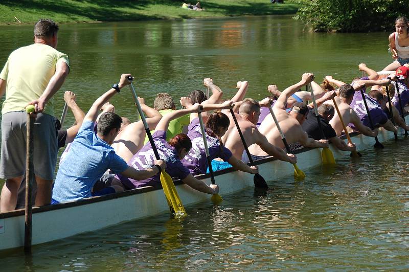 Festival dračích na přerovské Laguně