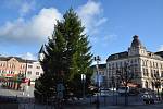 Přeprava a instalace vánočního stromu v Přerově. Na Masarykovo náměstí dorazil z Troubek. 25.11. 2023