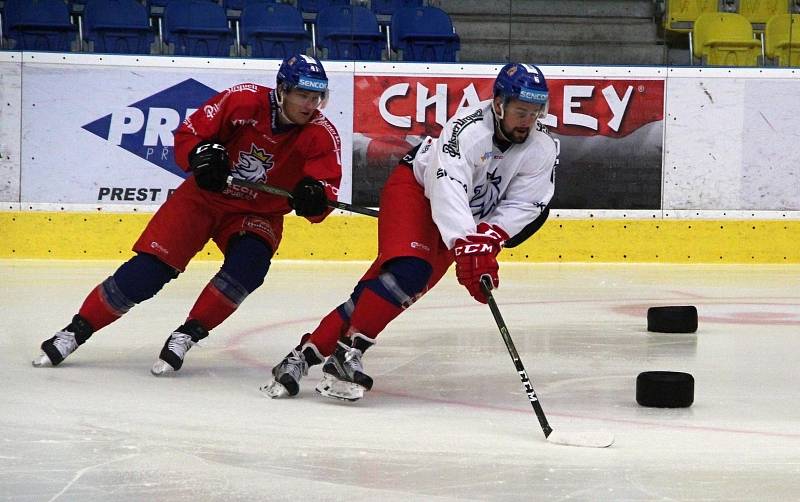 Česká hokejová reprezentace na úterním tréninku seznamovacího kempu v Přerově.