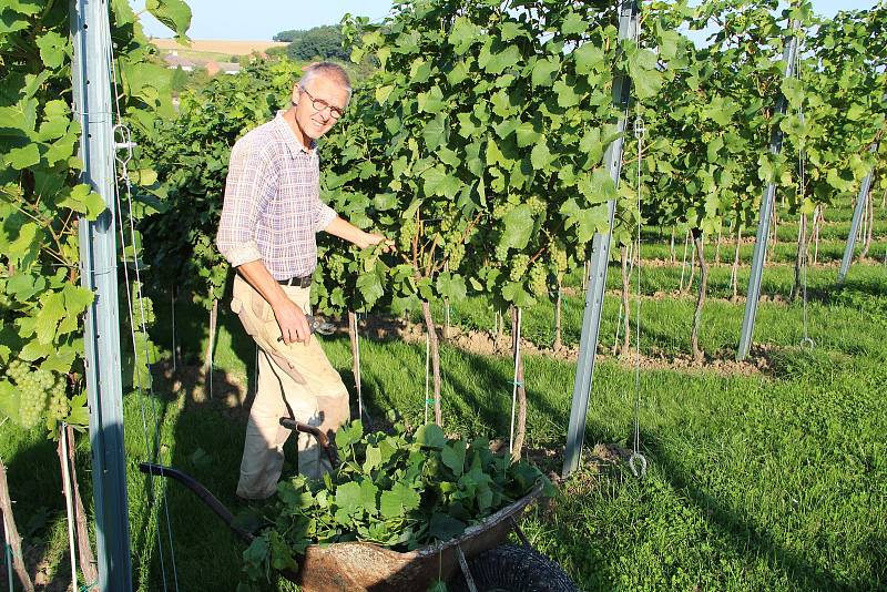 Vladimír Matela vybudoval společně se svou manželkou rodinné vinařství v Sobíškách. Vinnou révu zde pěstuje na rozloze půl hektaru.