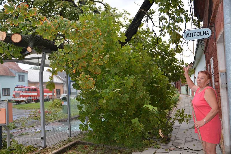 Následky řádění bouřky v Újezdci u Přerova, kde udeřil blesk do letitého kaštanu, a ten spadl na autobusovou zastávku a střechu rodinného domu. Vyvrácené stromy a popadané větve byly i v okolí přerovského hřbitova.