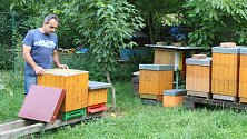 Petr Navařík, majitel Včelařství U kapličky v Dobrčicích vlastní osmdesát včelstev.