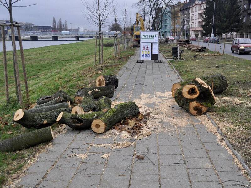 Stromová alej na nábřeží Edvarda Beneše už je minulostí – musela ustoupit stavbě protipovodňové zíd­ky.