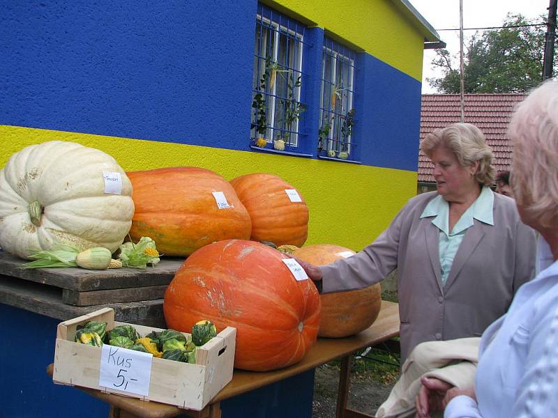 V Horním Újezdě slavili v sobotu dýňobraní. Ulice v této obci ozdobily neobvyklé postavičky.