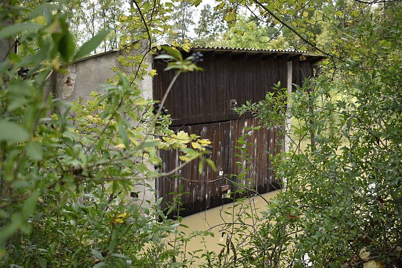 Rozvodněná Morava v Kojetíně, zaplavila třeba i fotbalové hřiště nebo loděnici. 15.10. 2020