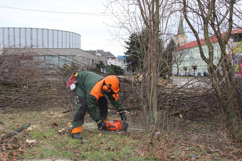 Více než desítka stromů byla vykácena u parkoviště před Priorem. Odstraňování dřevin souvisí s plánovanou rekonstrukcí obchodního domu v Přerově, která by měla začít v dohledné době.