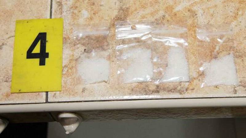 Drogy, které zajistili kriminalisté při domovních prohlídkách na Přerovsku