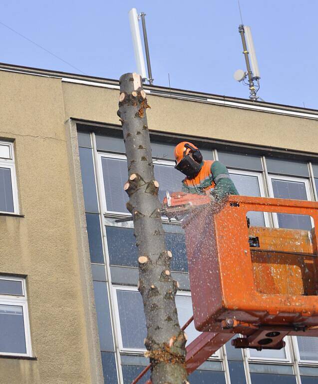 Kácení vánočního stromu na náměstí TGM v Přerově