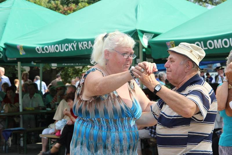 Jednadvacáté Setkání dechových hudeb v Dřevohosticích