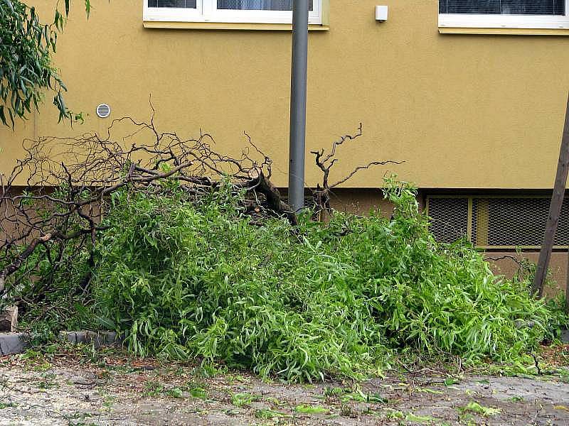 Bouře, která se prohnala v sobotu v noci Přerovem, napáchala škody v ulici Pod Skalkou v Předmostí. Hasiči zde nejprve odstraňovali strom, který spadl na osobní vůz, a potom ve stejné ulici odčerpávali vodu z výtahové šachty.