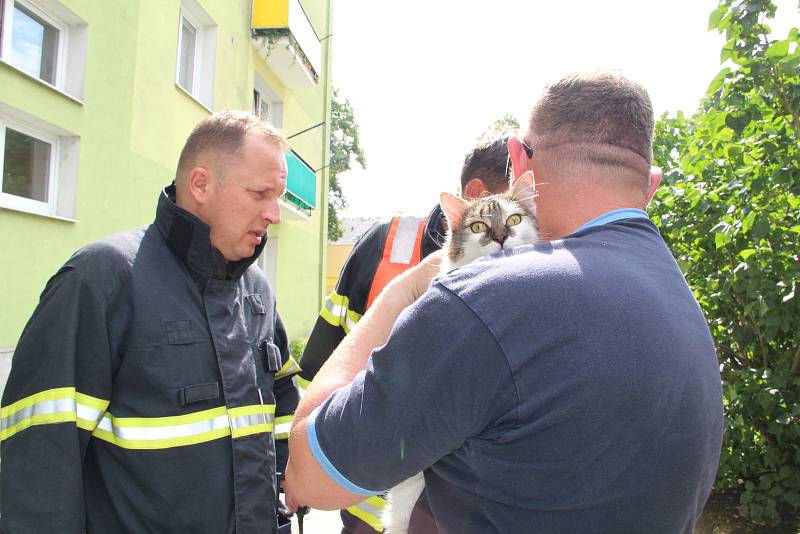 Na dvě desítky obyvatel panelového domu v ulici Interbrigadistů v Přerově musely být evakuovány při rozsáhlém požáru v jednom z bytů. 13.8.2019