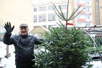 Prodej vánočních stromů už naplno běží na tradičním místě - v ohradě v Mostní ulici v Přerově.
