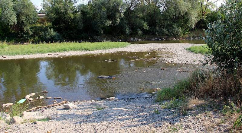 Vody na přerovském jezu v posledních dnech výrazně ubylo a Bečva v těchto místech vysychá.