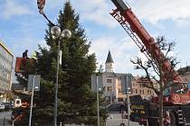 Na Masarykovo náměstí v Přerově dorazil vánoční strom. Sobota 19. listopadu 2022