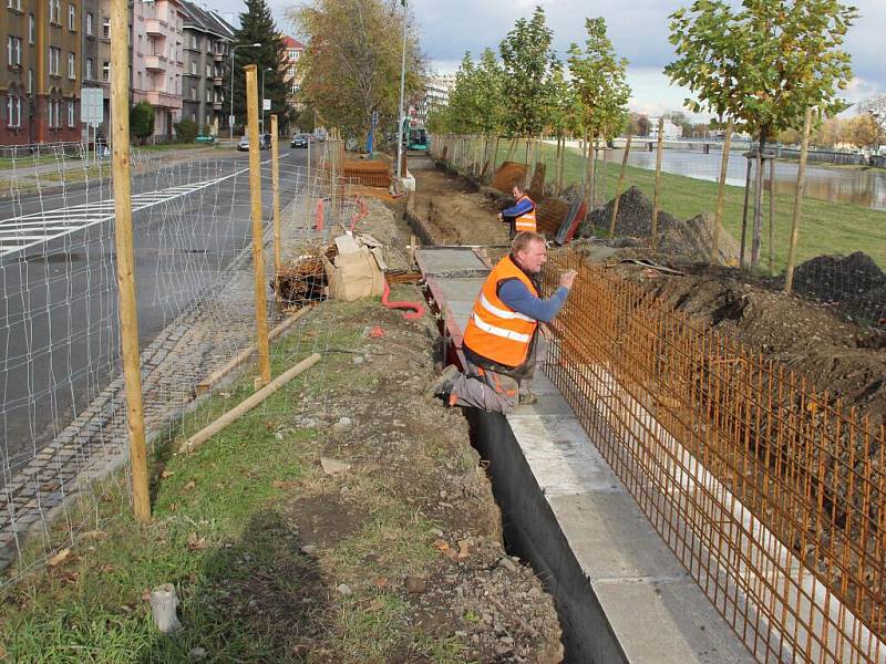 Stavba protipovodňové zídky na nábřeží Edvarda Beneše se rozběhla naplno – ustoupit jí musely první stromy, které byly v aleji vykáceny tento týden.