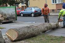 Vichřice v Přerově 17. 2. 2022. Jeden strom spadl dopoledne na střechu bytového domu v Purkyňově ulici v Přerově a poničil ji . Pracovníci odborné firmy museli strom nařezat a odvézt.